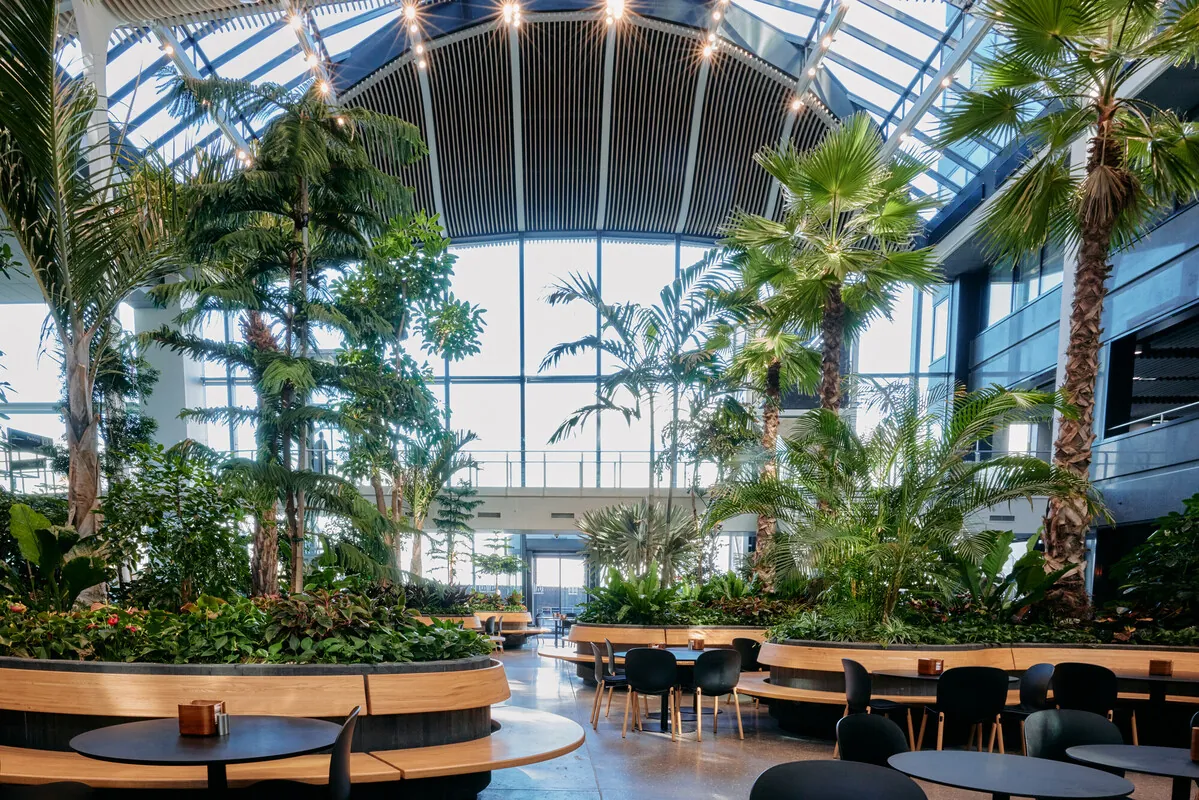 Vores Atrium i dagslys uden mennekser